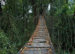 Lolegaon-Kalimpong Lolegaon-Kalimpong